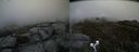 ./images/calvert/buxton2/20190607/buxton220190607_161454M.jpg