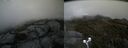 ./images/calvert/buxton2/20190607/buxton220190607_164953M.jpg