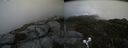 ./images/calvert/buxton2/20190607/buxton220190607_165953M.jpg