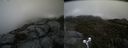 ./images/calvert/buxton2/20190607/buxton220190607_170454M.jpg