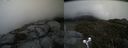 ./images/calvert/buxton2/20190607/buxton220190607_170954M.jpg
