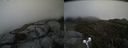 ./images/calvert/buxton2/20190607/buxton220190607_172954M.jpg