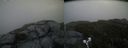 ./images/calvert/buxton2/20190607/buxton220190607_194453M.jpg
