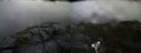 ./images/calvert/buxton2/20190609/buxton220190609_182453M.jpg