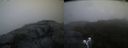 ./images/calvert/buxton2/20190610/buxton220190610_052453M.jpg