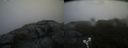./images/calvert/buxton2/20190610/buxton220190610_055953M.jpg