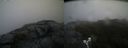 ./images/calvert/buxton2/20190610/buxton220190610_062953M.jpg