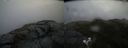 ./images/calvert/buxton2/20190610/buxton220190610_104953M.jpg