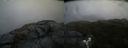./images/calvert/buxton2/20190610/buxton220190610_105953M.jpg