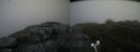 ./images/calvert/buxton2/20190610/buxton220190610_134953M.jpg