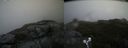./images/calvert/buxton2/20190610/buxton220190610_165453M.jpg