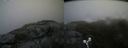 ./images/calvert/buxton2/20190610/buxton220190610_181453M.jpg