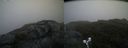./images/calvert/buxton2/20190613/buxton220190613_062953M.jpg
