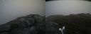 ./images/calvert/buxton2/20190613/buxton220190613_071453M.jpg