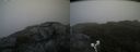 ./images/calvert/buxton2/20190613/buxton220190613_083953M.jpg