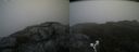 ./images/calvert/buxton2/20190613/buxton220190613_085953M.jpg