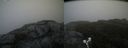 ./images/calvert/buxton2/20190613/buxton220190613_091453M.jpg