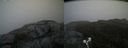 ./images/calvert/buxton2/20190613/buxton220190613_093453M.jpg