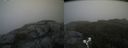 ./images/calvert/buxton2/20190613/buxton220190613_101953M.jpg