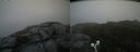 ./images/calvert/buxton2/20190613/buxton220190613_145953M.jpg