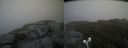 ./images/calvert/buxton2/20190613/buxton220190613_170953M.jpg