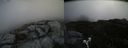 ./images/calvert/buxton2/20190614/buxton220190614_111953M.jpg