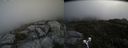 ./images/calvert/buxton2/20190614/buxton220190614_121453M.jpg