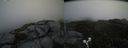 ./images/calvert/buxton2/20190614/buxton220190614_122453M.jpg