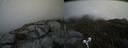./images/calvert/buxton2/20190614/buxton220190614_124953M.jpg