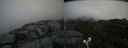 ./images/calvert/buxton2/20190614/buxton220190614_130953M.jpg