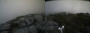 ./images/calvert/buxton2/20190614/buxton220190614_131953M.jpg
