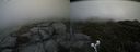./images/calvert/buxton2/20190614/buxton220190614_140953M.jpg