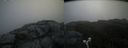 ./images/calvert/buxton2/20190615/buxton220190615_084453M.jpg