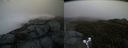 ./images/calvert/buxton2/20190616/buxton220190616_054953M.jpg