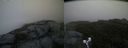 ./images/calvert/buxton2/20190616/buxton220190616_060453M.jpg