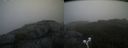 ./images/calvert/buxton2/20190616/buxton220190616_082953M.jpg