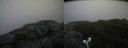 ./images/calvert/buxton2/20190616/buxton220190616_083953M.jpg
