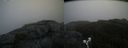 ./images/calvert/buxton2/20190616/buxton220190616_084953M.jpg