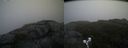 ./images/calvert/buxton2/20190616/buxton220190616_091453M.jpg