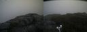 ./images/calvert/buxton2/20190616/buxton220190616_094453M.jpg