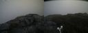 ./images/calvert/buxton2/20190616/buxton220190616_104953M.jpg