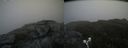 ./images/calvert/buxton2/20190616/buxton220190616_125953M.jpg