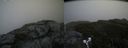 ./images/calvert/buxton2/20190616/buxton220190616_131453M.jpg