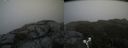 ./images/calvert/buxton2/20190616/buxton220190616_133453M.jpg