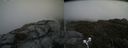 ./images/calvert/buxton2/20190616/buxton220190616_144453M.jpg