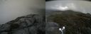 ./images/calvert/buxton2/20190616/buxton220190616_172453M.jpg