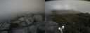 ./images/calvert/buxton2/20190616/buxton220190616_174453M.jpg