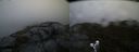 ./images/calvert/buxton2/20190617/buxton220190617_054953M.jpg