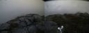 ./images/calvert/buxton2/20190617/buxton220190617_055453M.jpg
