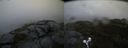 ./images/calvert/buxton2/20190617/buxton220190617_055953M.jpg